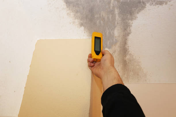 Dehumidification Services in Frazeysburg, OH