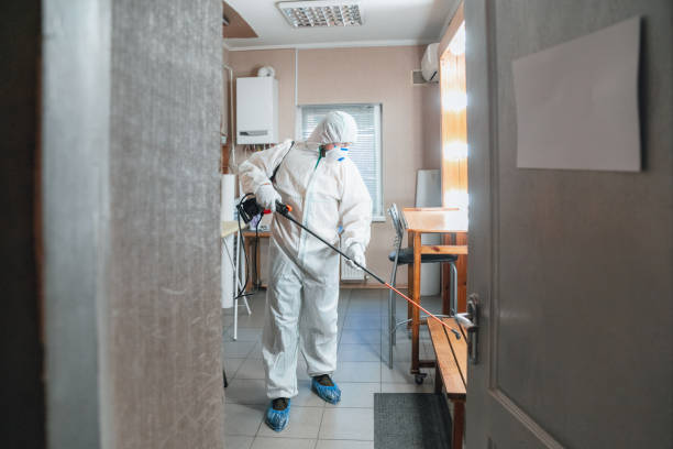 Best Industrial Mold Remediation  in Frazeysburg, OH