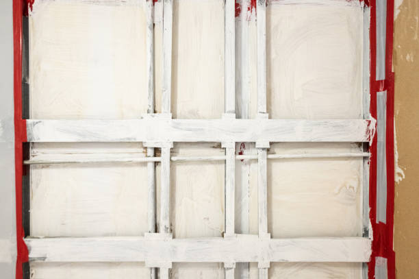 Best Emergency Mold Remediation  in Frazeysburg, OH